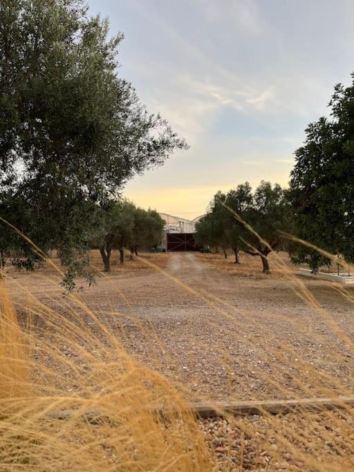 Quinta Da Alfarrobeira Peaceful Countryside Stay FAO Exterior foto