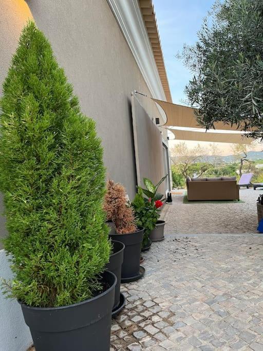 Quinta Da Alfarrobeira Peaceful Countryside Stay FAO Exterior foto
