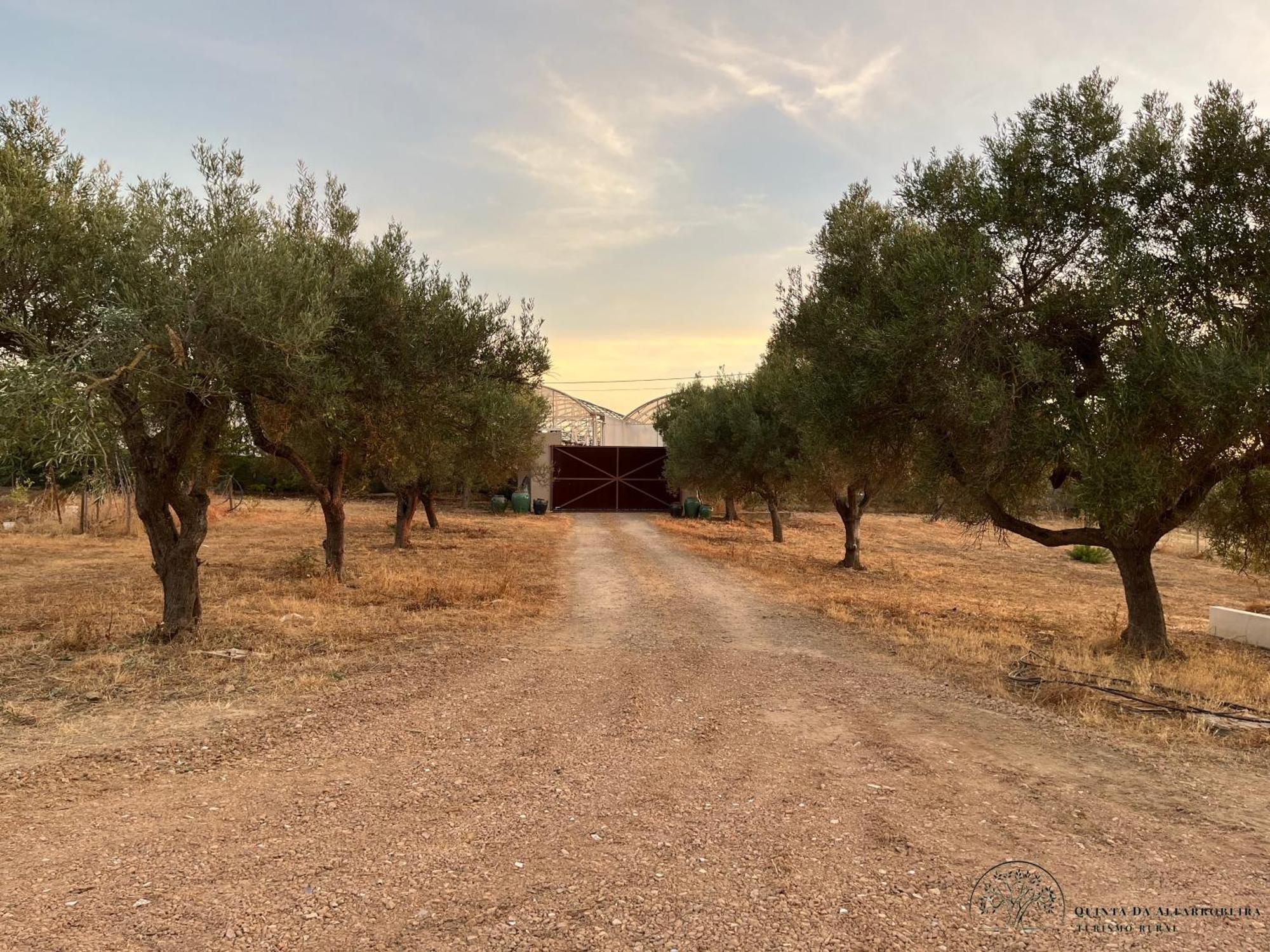 Quinta Da Alfarrobeira Peaceful Countryside Stay FAO Exterior foto